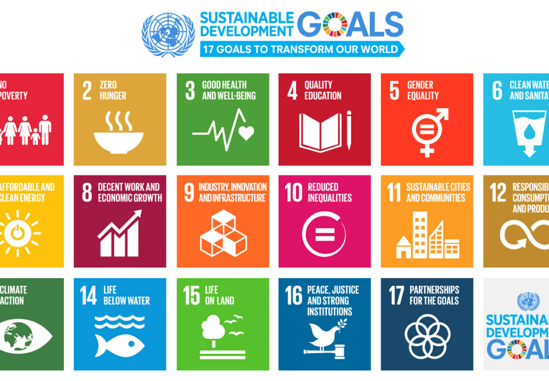 UAE Vision 2030: Sustainable Development